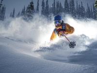 开云体育在线-阿尔瓦雷斯，大场面先生降临，里昂惊天逆转巴黎背后的唯一性