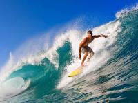 开云体育下载-火箭斩落篮网，哈登成为关键先生，一场定义赛季的胜利