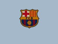 开云官网-米切尔攻防两端统治，森林狼主场终结步行者连胜