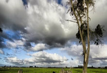 开云体育官方网站-晋军铁骑破密城，山西火力网如何锁死雄鹿，小贾伦末节风暴定乾坤